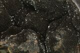 Septarian Dragon Egg Geode - Black Crystals #137935-3